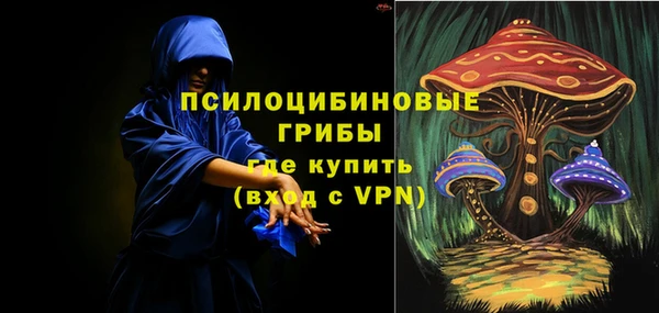 дурь Лагань