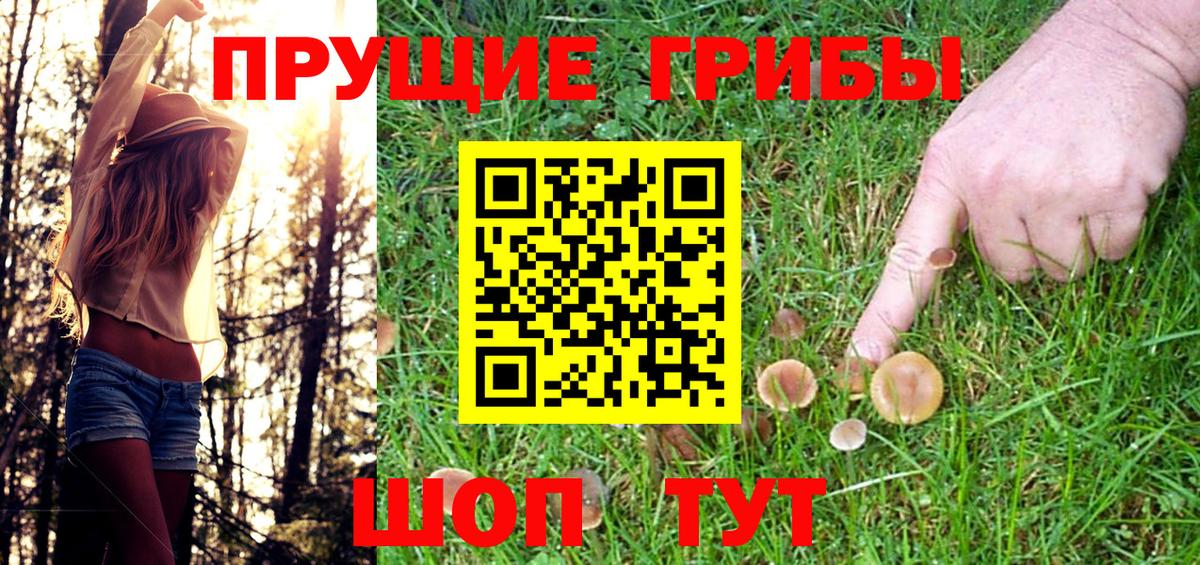 как найти закладки  Киров  Галлюциногенные грибы мицелий  Галлюциногенные грибы MAGIC MUSHROOMS 