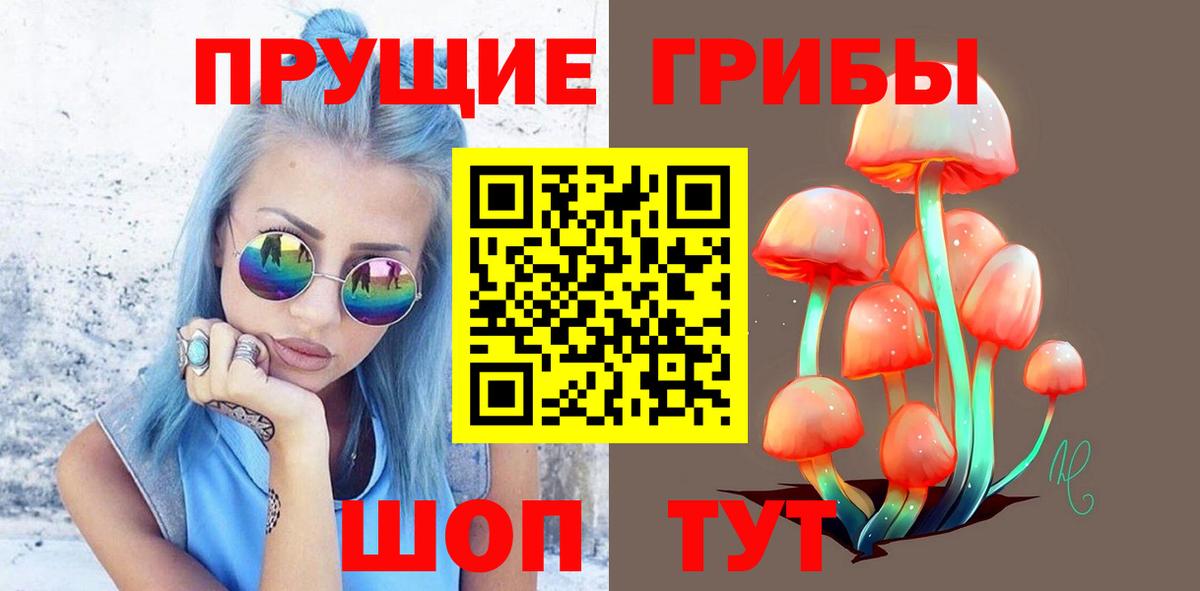 Альфа ПВП Киров